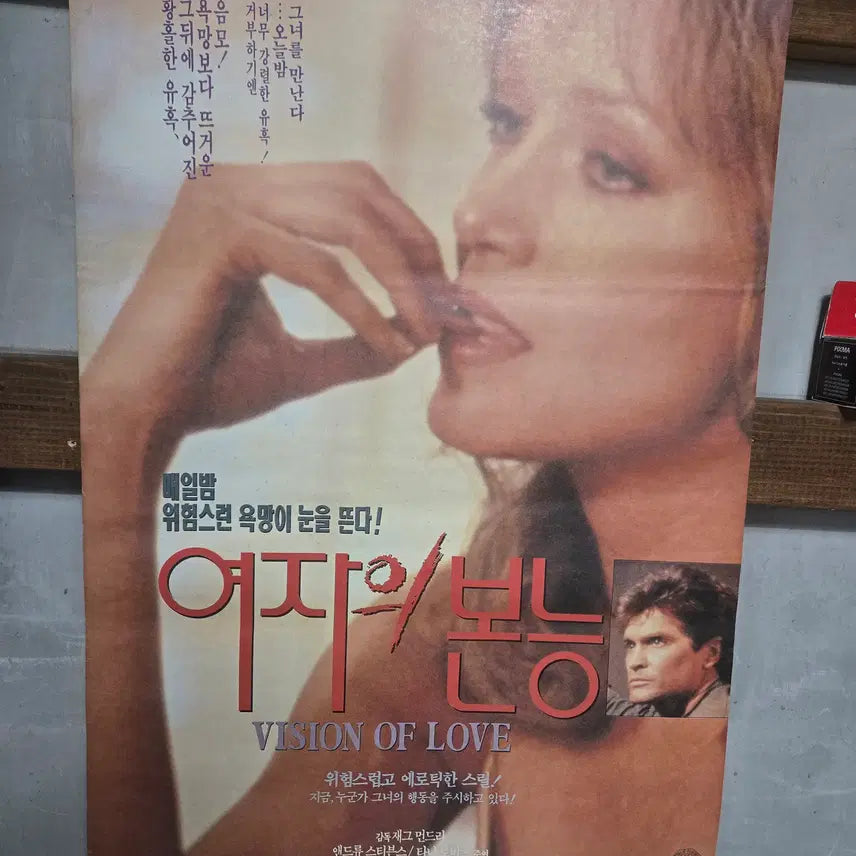 [BUNJANG] 1990s Original Korean Movie Poster / 여자의 본능/ 1990년대 / 오리지널 포스터 /
