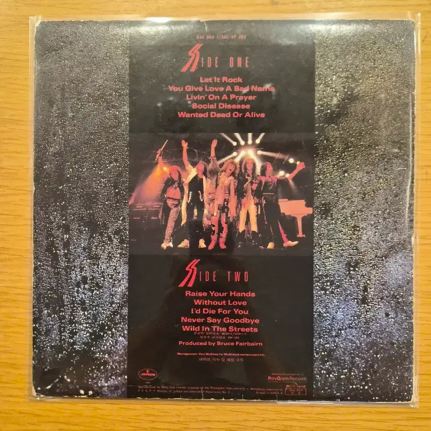 [BUNJANG] Bon Jovi LP / bon jovi lp