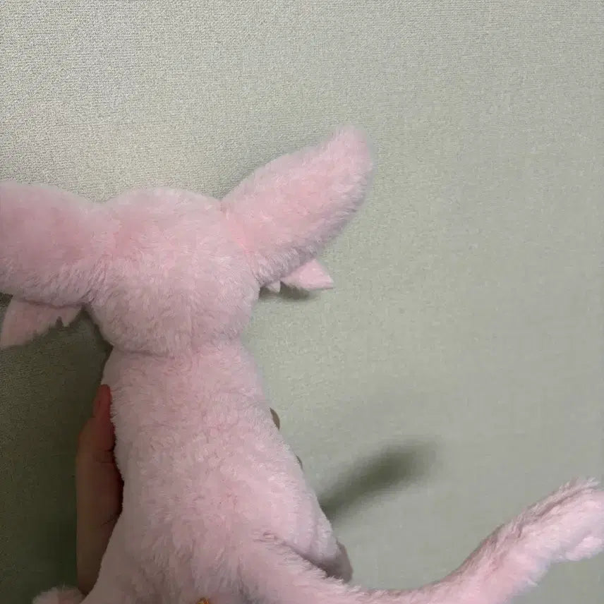 [BUNJANG] Pokemon Eevee Kuta Kuta Tatta Plush Toy (S Size) / 포켓몬스터 쿠타쿠타탓타 에브이 s 사이즈 인형