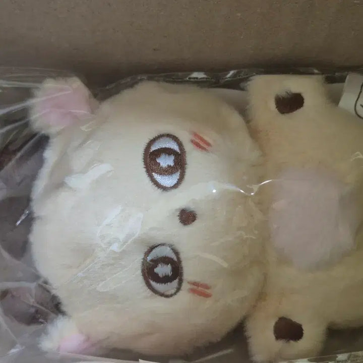 [BUNJANG] Park Ji Hoon Somimi Doll Photocard Set (Sealed) / 미개봉) 박지훈 소심이 인형 포카 세트