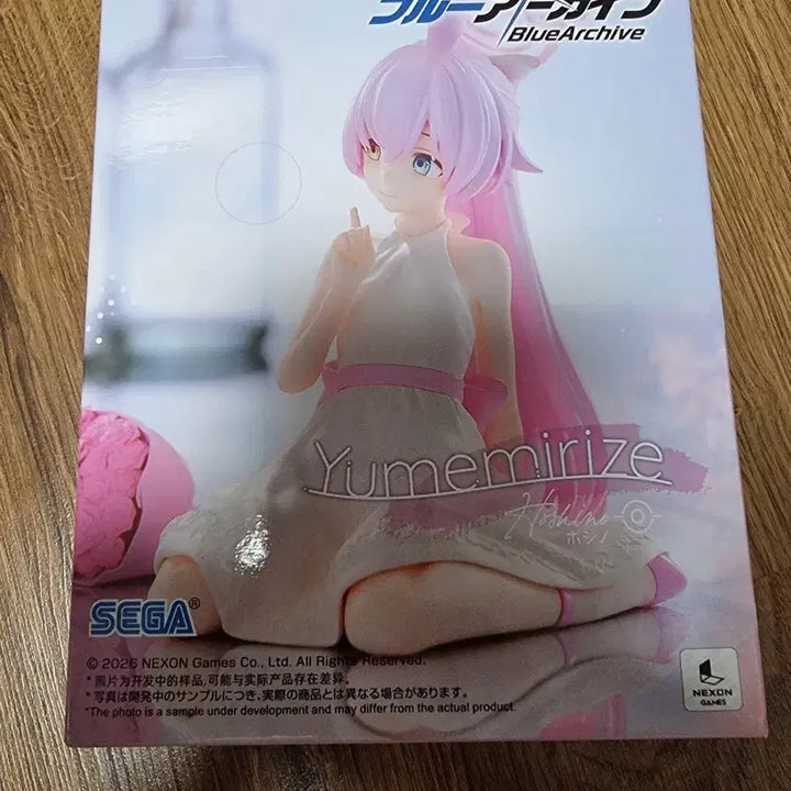 [BUNJANG] Sega Blue Archive Yumemiriz Hoshino Figure / 세가 블루아카이브 유메미리즈 호시노 피규어