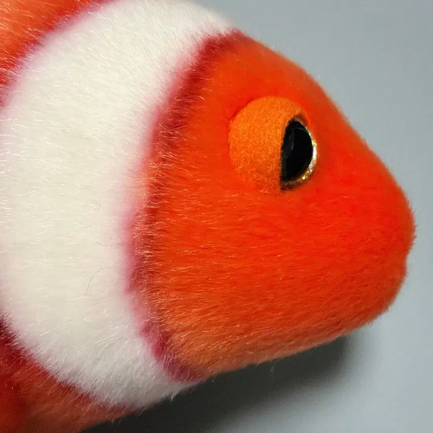 [BUNJANG] Mungler Nemo Clownfish Plush / 밍글러 니모 클라운피시 물고기 인형 판매