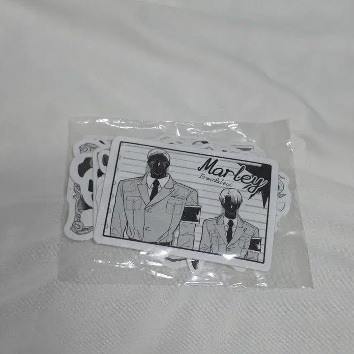 [BUNJANG] Eruri Attack on Titan Fragment Sticker Set (Unsealed) / [미개봉] 에루리 조각스티커 엘빈 리바이 스티커 진격의거인