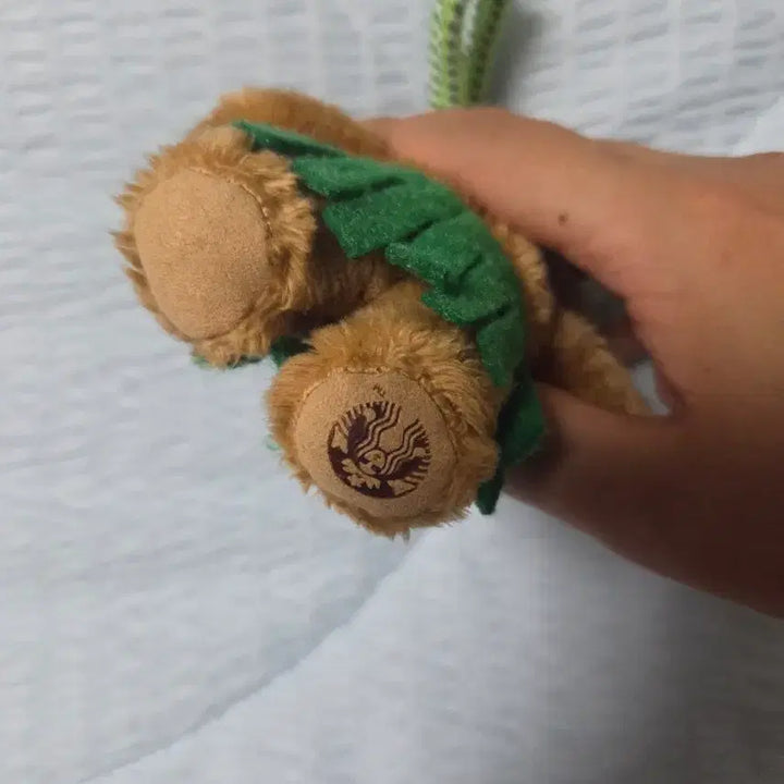 [BUNJANG] Starbucks Hawaiian Bear Keyring Doll / 하와이안 베어 스타벅스키링 인형 판매