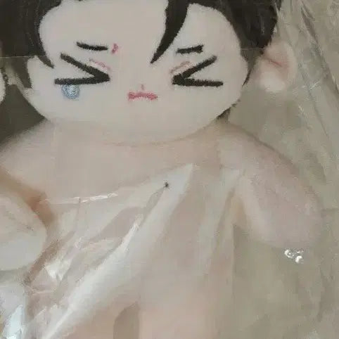 [BUNJANG] Joo Ui-pyeong Joo In-cheol Custom Plush Doll / 주의 평화 주인철 속성
