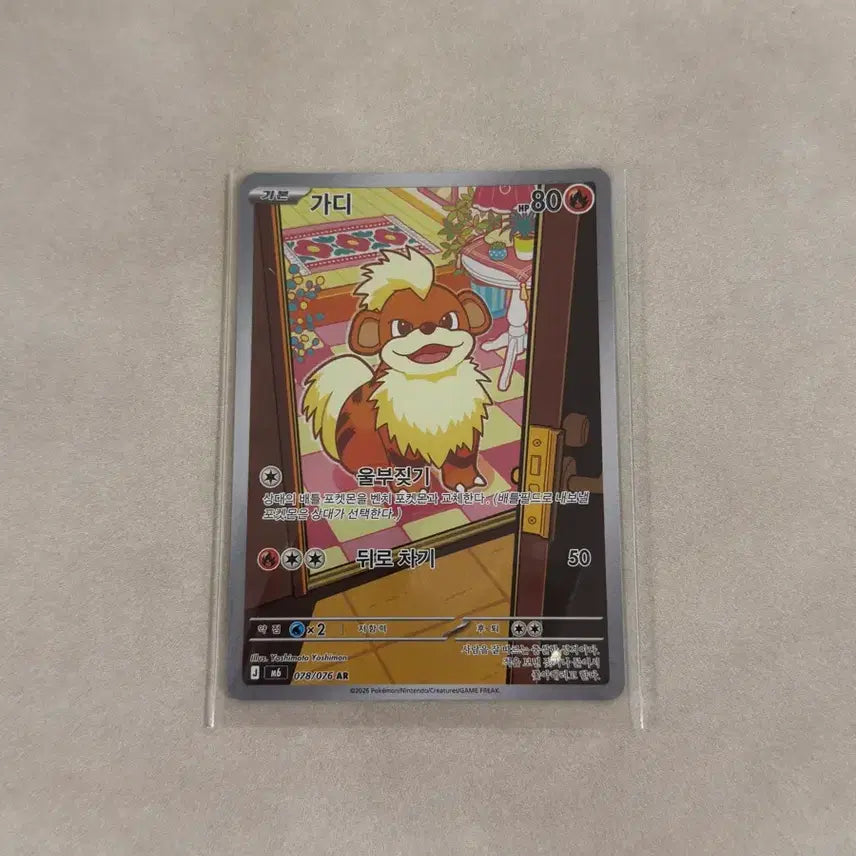 [BUNJANG] Pokemon Card Guardian AR / (한판) 포켓몬카드 가디 AR
