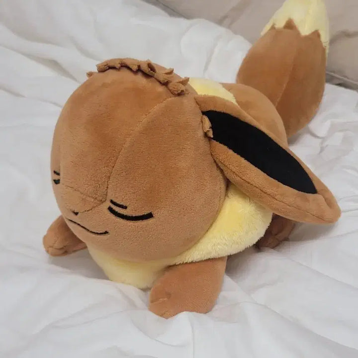 [BUNJANG] Pokemon Sleeping Eevee Plush / 포켓몬스터 잠자는 이브이 인형 판매해요!