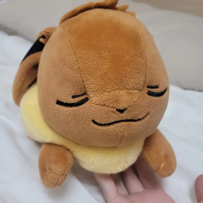 [BUNJANG] Pokemon Sleeping Eevee Plush / 포켓몬스터 잠자는 이브이 인형 판매해요!