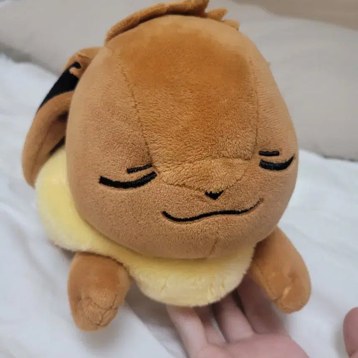 [BUNJANG] Pokemon Sleeping Eevee Plush / 포켓몬스터 잠자는 이브이 인형 판매해요!