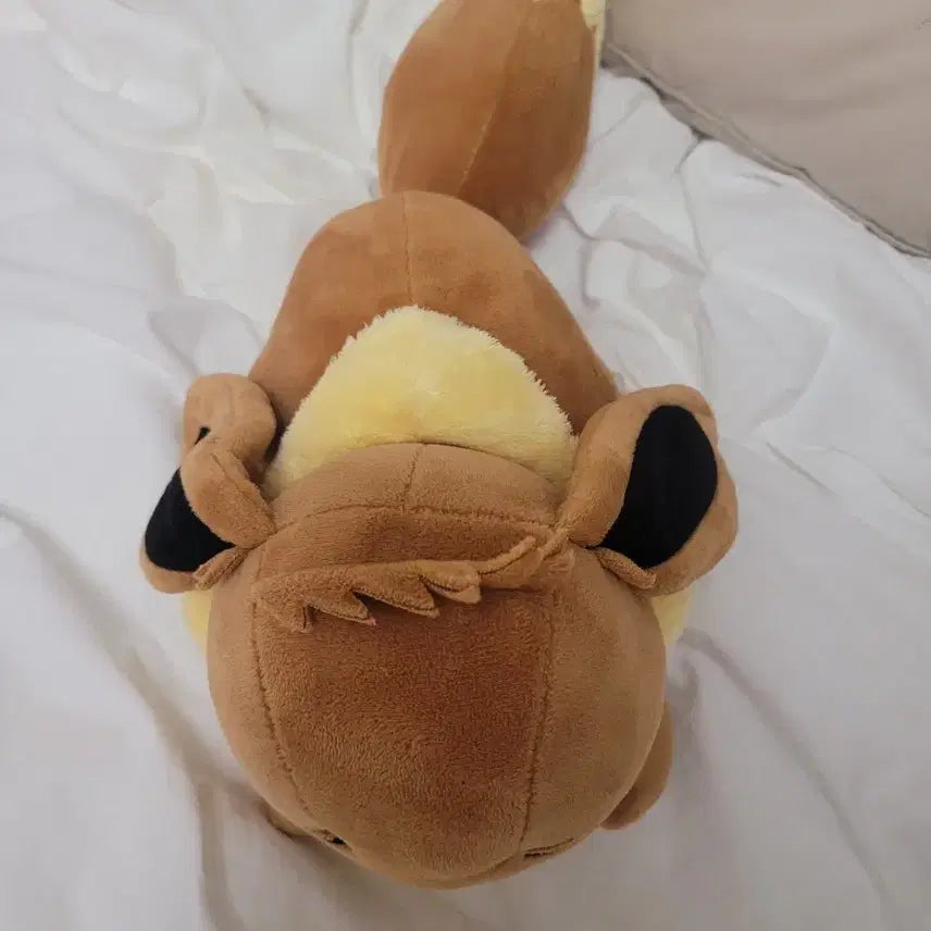 [BUNJANG] Pokemon Sleeping Eevee Plush / 포켓몬스터 잠자는 이브이 인형 판매해요!