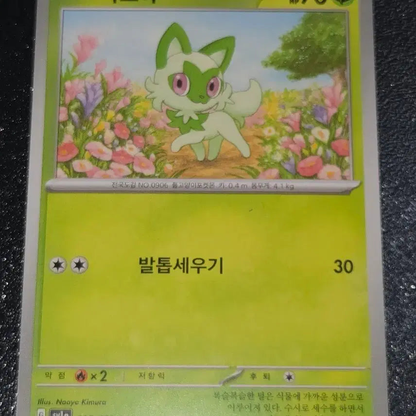 [BUNJANG] Pokemon Card Naoah 005/073 / 포켓몬 카드 나오하 005/073