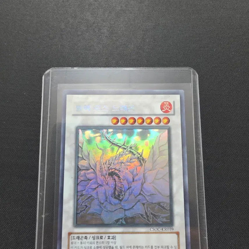 [BUNJANG] Yu-Gi-Oh! Black Rose Dragon Holo CSOC-KR039 / 유희왕 블랙 로즈 드래곤 홀로 CSOC-KR039