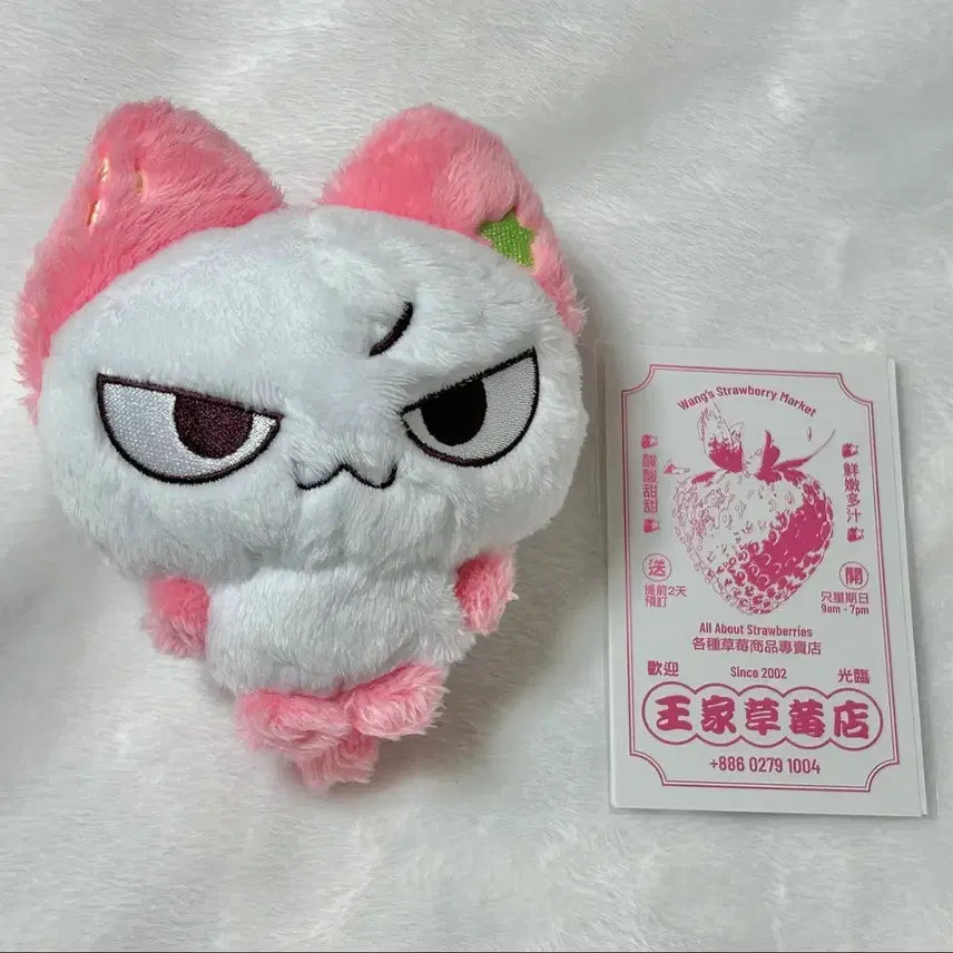 [BUNJANG]  &amp;TEAM Nicholas 12cm Plush Doll (Shang Mei) / 앤팀 니콜라스 12cm 인형 샹샹메이