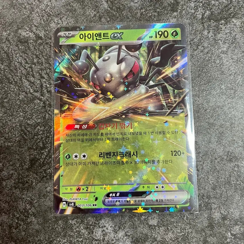 [BUNJANG] Pokemon Card Irony EX RR / 포켓몬카드 아이앤트 ex rr [2장보유]