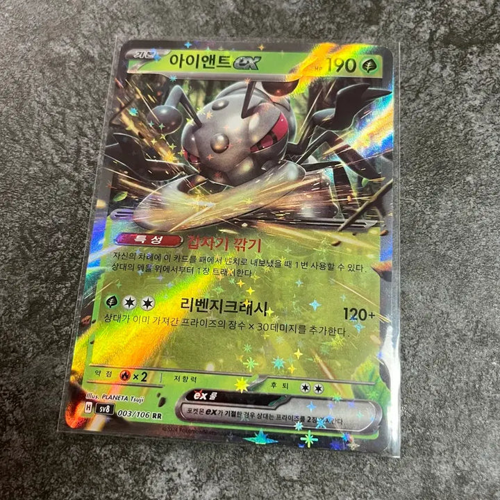 [BUNJANG] Pokemon Card Irony EX RR / 포켓몬카드 아이앤트 ex rr [2장보유]