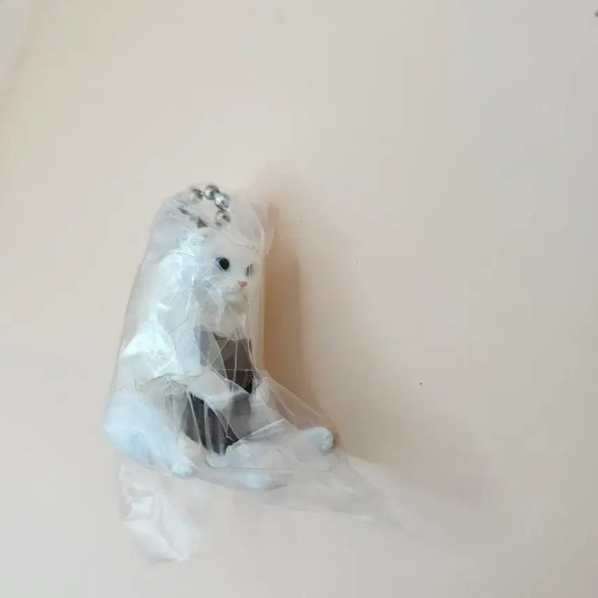 [BUNJANG] Set of 4 Cat Figurines with Accessories / 고양이 피규어 4종 (곽티슈/수건/보자기/초콜릿 장착)