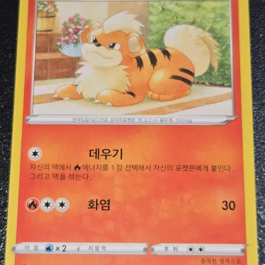 [BUNJANG] Pokemon Card Gardie 012/100 / 포켓몬 카드 가디 012/100