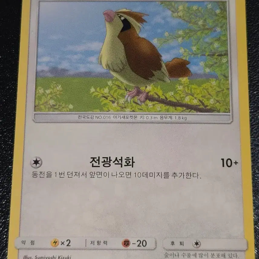[BUNJANG] Pokemon Card Pidgey 068/095 / 포켓몬 카드 구구 068/095
