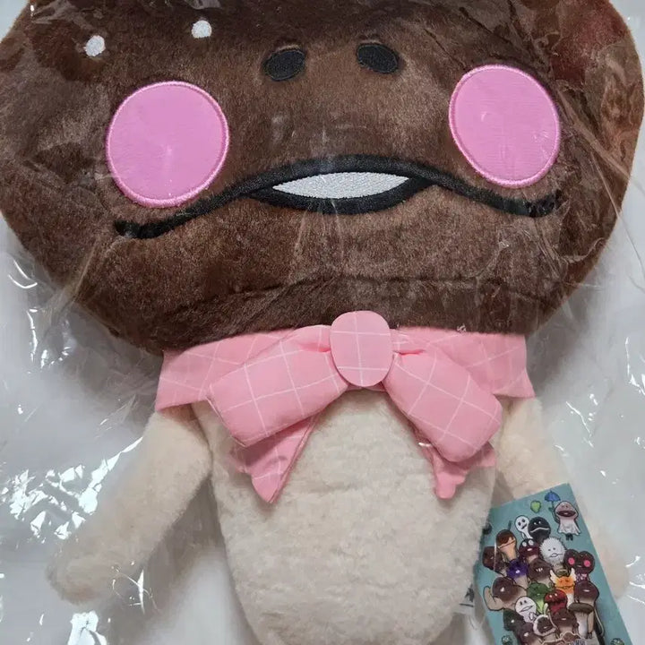 [BUNJANG] Nametoko Confession Choco Medium Plush / [새상품]나메코 고백초코 중형 인형