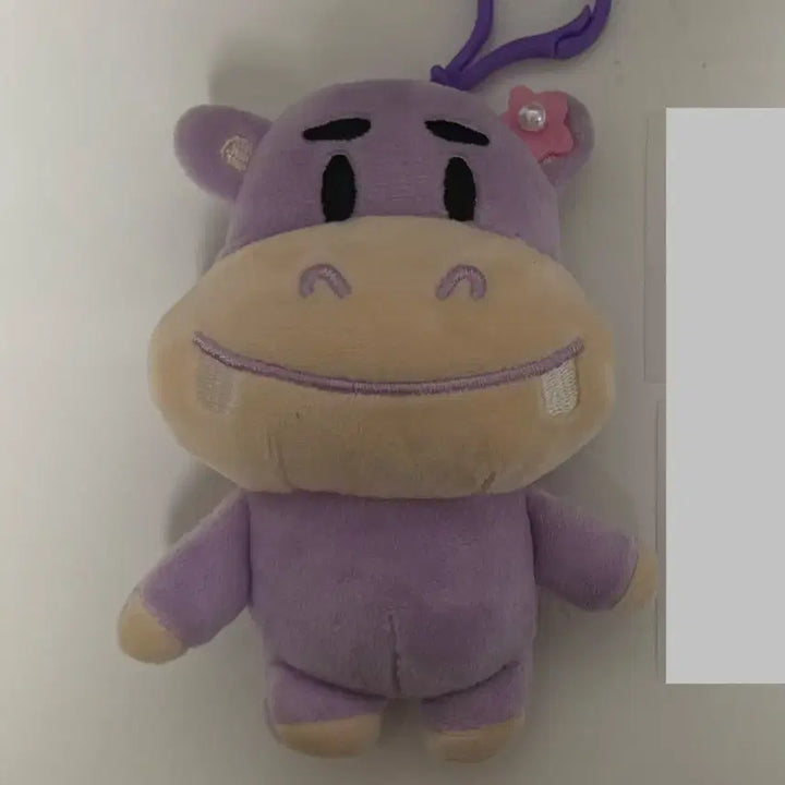 [BUNJANG] N.Flying Yoo Hweseung Hamangi Spring Hamangi / 엔플라잉 유회승 하망이 스프링 하망이