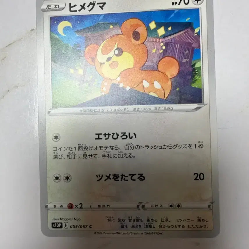 [BUNJANG] Pokemon Card Teddiursa 055/067 Japanese / 포켓몬카드 깜지곰 055/067 일판