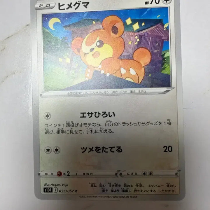 [BUNJANG] Pokemon Card Teddiursa 055/067 Japanese / 포켓몬카드 깜지곰 055/067 일판