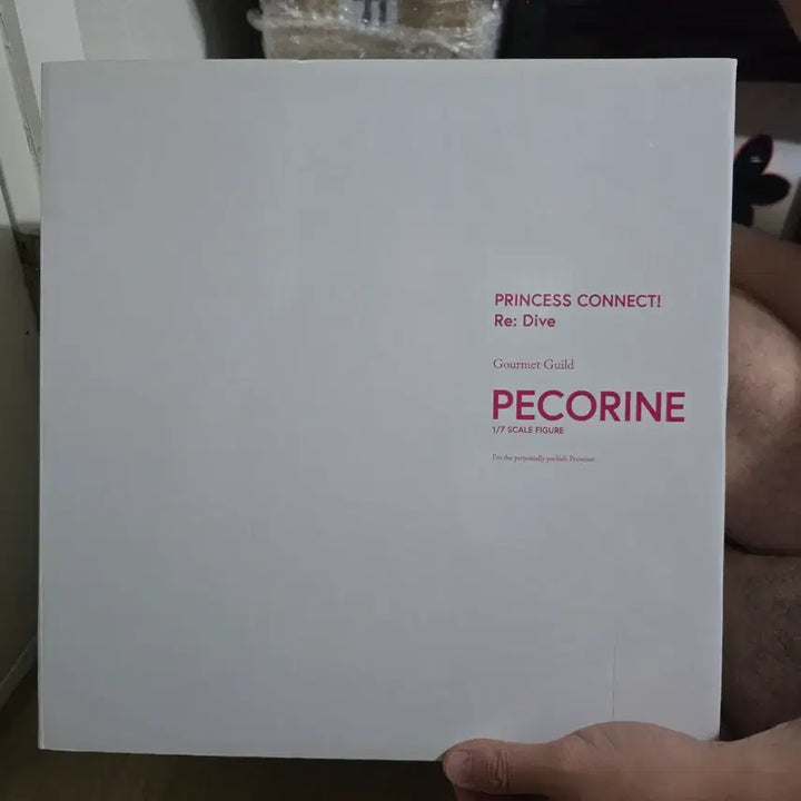 [BUNJANG] Princess Connect! Re:Dive Pecorine 1/7 Scale Figure (Unsealed) / [개봉품] 프린세스 커넥트! Re:Dive 페코린느 1/7 스케일 피규어