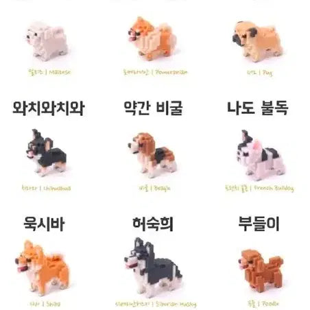 [BUNJANG] PixelDog 14 Types + Special 6 Types + Zandi Exclusive Case Set / 텀블벅 픽셀독 14종 + 스페셜 6종 + 잔디 전용 케이스