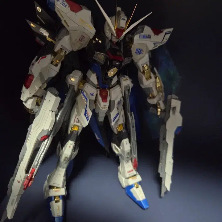 [BUNJANG] DABAN Strike Freedom Gundam|, Assembled Model Kit / 다반 스트라이크프리덤 가조 가조립
