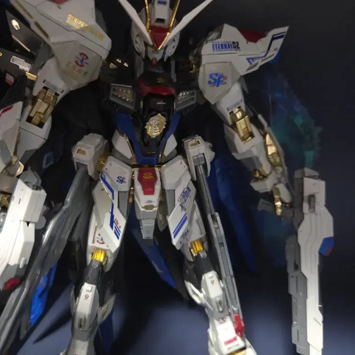 [BUNJANG] DABAN Strike Freedom Gundam|, Assembled Model Kit / 다반 스트라이크프리덤 가조 가조립