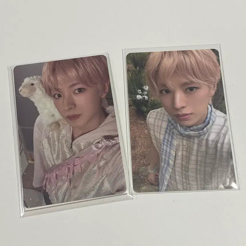 [BUNJANG] NCT Wish Osaki Yuu Photocard Bundle Set / [당일발송] 엔시티 위시 오드투러브 유우시 빅스미니, 스미니 포카 일괄