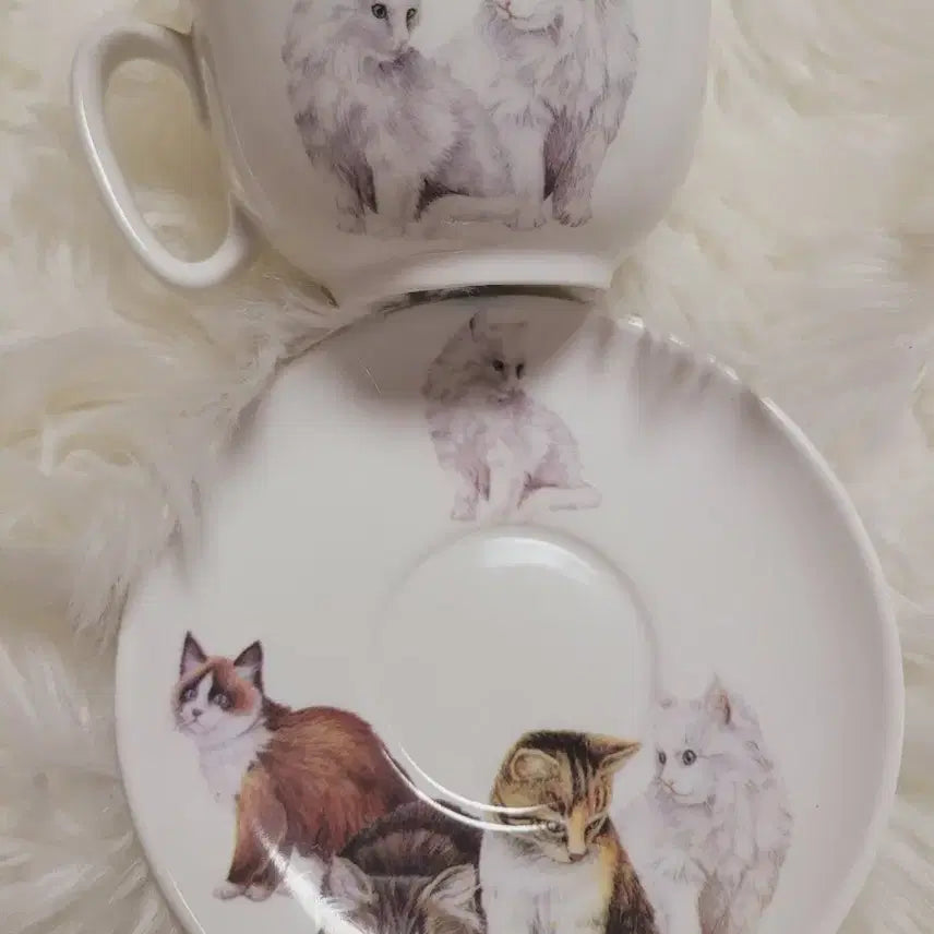 [BUNJANG] Vintage Cat Teacup Set / 수입