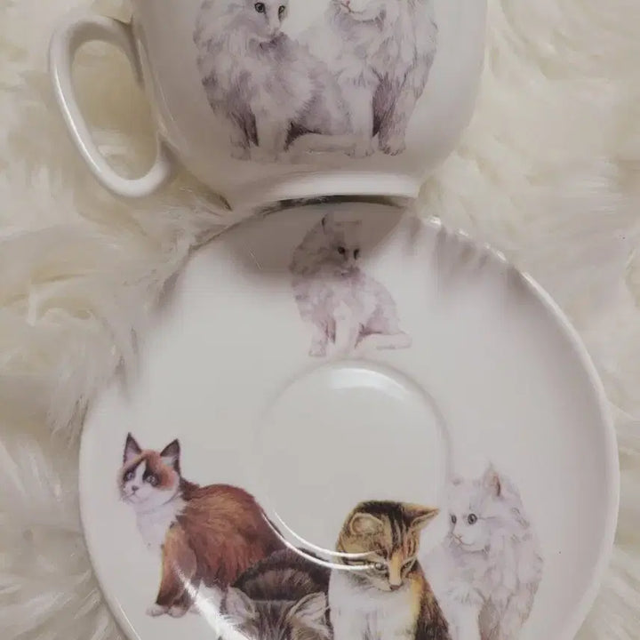 [BUNJANG] Vintage Cat Teacup Set / 수입