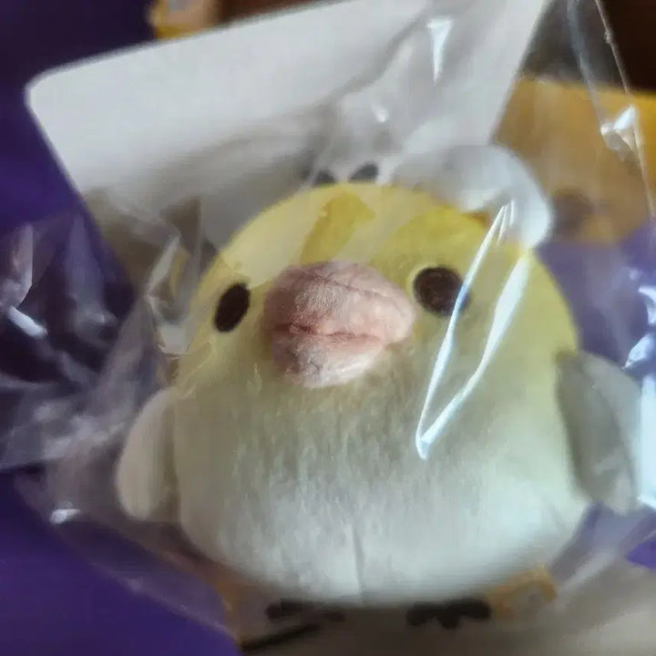 [BUNJANG] Rilakkuma Kippori Keyring Yongsan Pop-up Limited Edition (Unsealed) / 미개봉)리락쿠마 키이로이토리 키링 용산 팝업 한정판