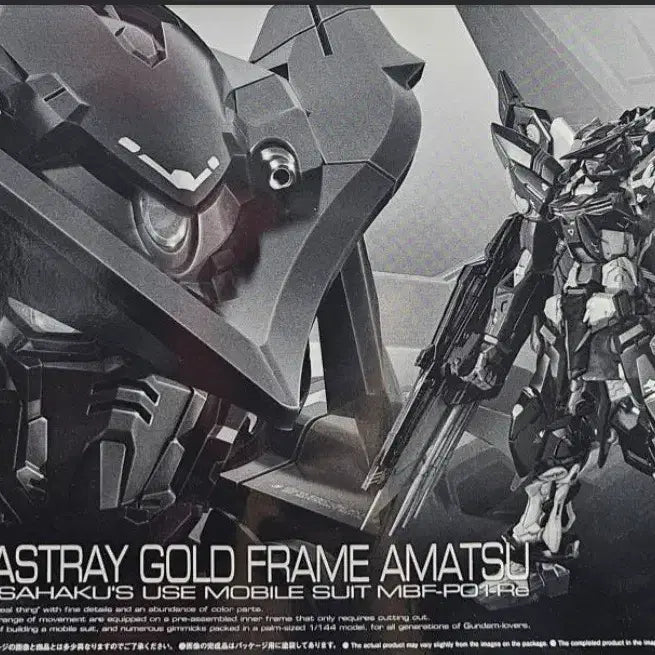 [BUNJANG] RG Epion Special Coating Limited Edition, Astray Gold Frame Amatsu Bundle Set / RG  에피온 스페셜 코팅 한정판, 아스트레이 골드프레임 아마츠 일괄