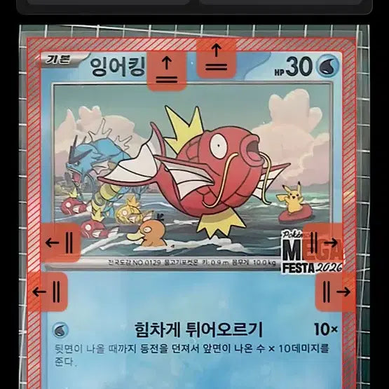 [BUNJANG] Gyarados Promo Card Pokemon Trading Card / 잉어킹 프로모