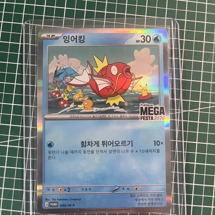 [BUNJANG] Gyarados Promo Card Pokemon Trading Card / 잉어킹 프로모