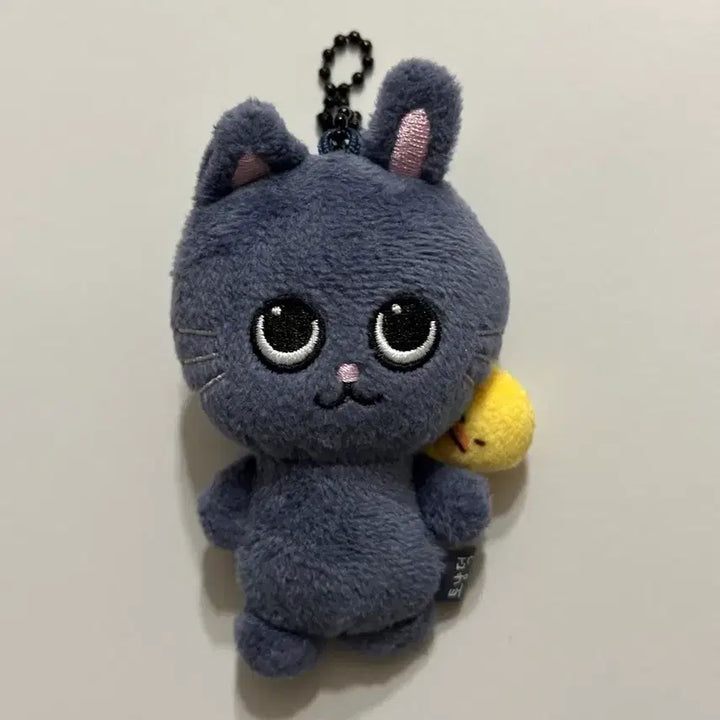 [BUNJANG] RIIZE Wonbin LittleRIIZE Cat Plush 8cm / 급처) 라이즈 원빈 리틀라이즈 토냥덕 8cm