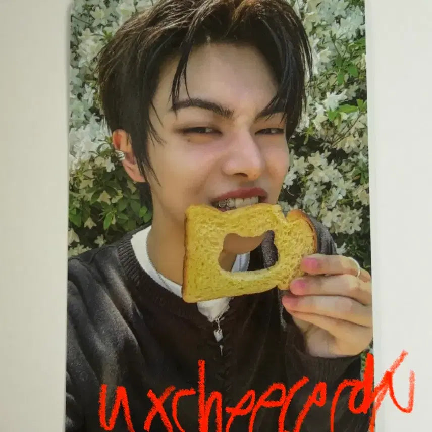 [BUNJANG] Aldi One Rio Official Photocard (Week 1) / 알디원 리오 공방 1주차 포카