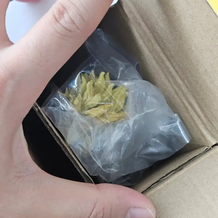 [BUNJANG] All Might C-Prize Figure / 나히아 올마이트 C상 피규어