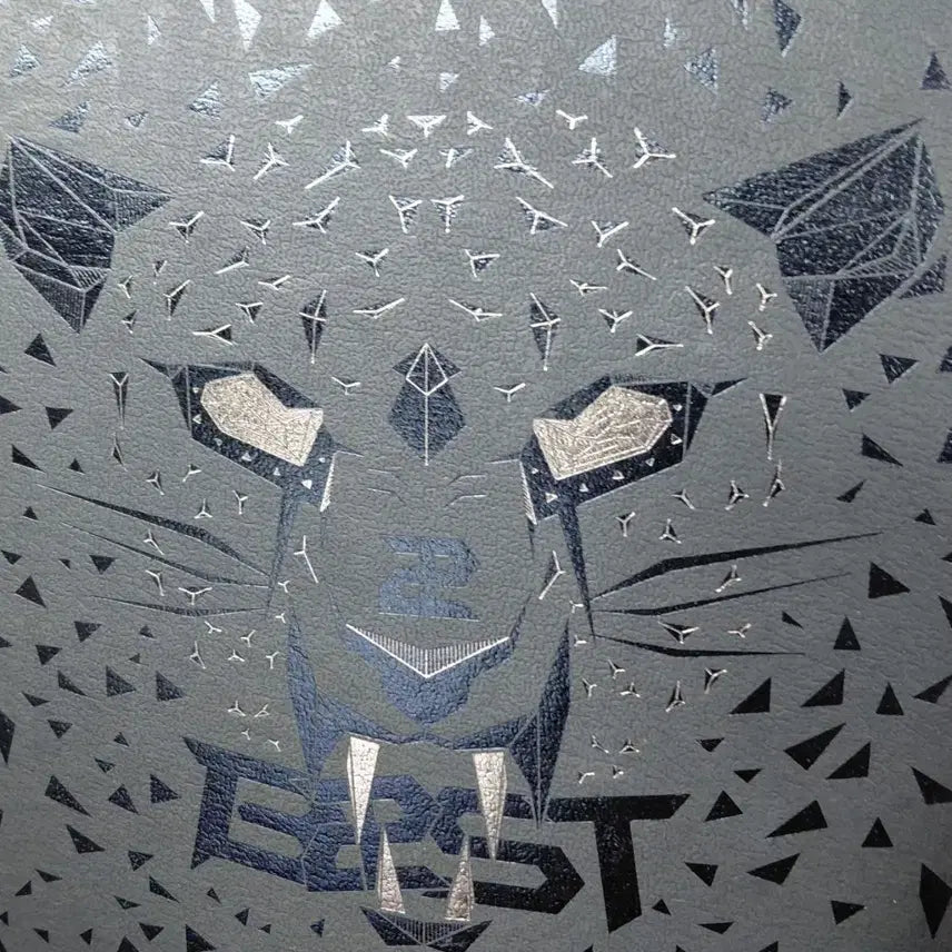 [BUNJANG] BEAST 1st Album CD / 비스트1집,팝니다~