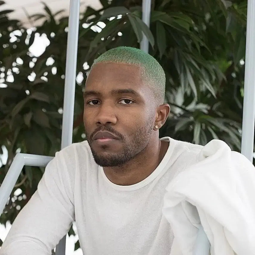 [BUNJANG] Frank Ocean Blonde Vinyl LP / 구매 프랭크 오션 blonde lp