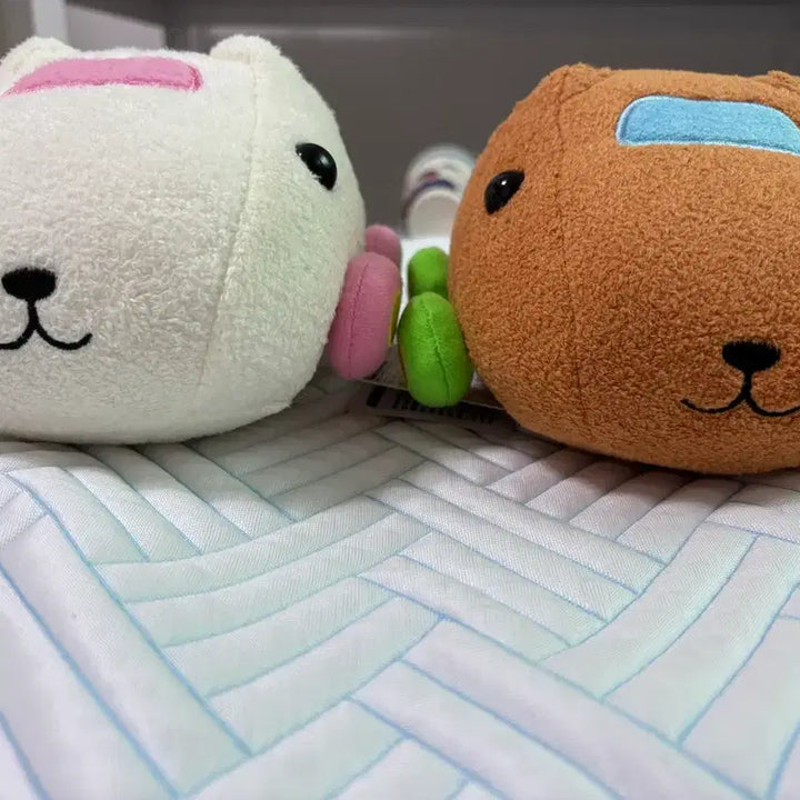 [BUNJANG] Morucca Capybarasan Collaboration Plush Bundle Set / 모루카 카피바라상 콜라보 인형 일괄로만