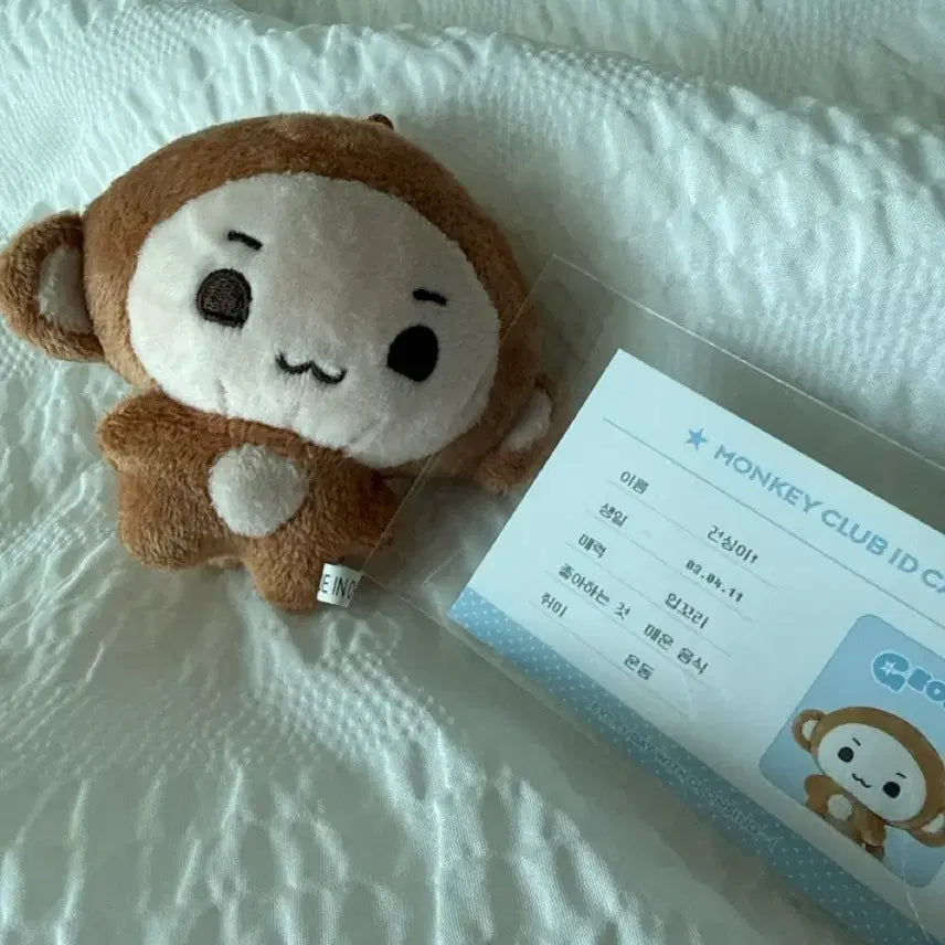 [BUNJANG] Kim Geonwoo Alpha Drive One Gungeunee Doll Bundle Set / 건싱이 인형 양도 김건우 알파드라이브원 특전포함