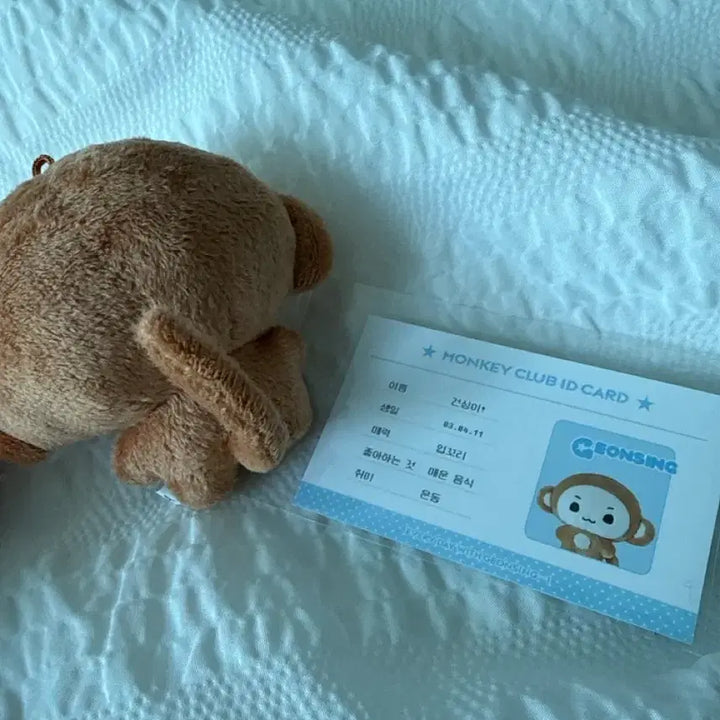 [BUNJANG] Kim Geonwoo Alpha Drive One Gungeunee Doll Bundle Set / 건싱이 인형 양도 김건우 알파드라이브원 특전포함