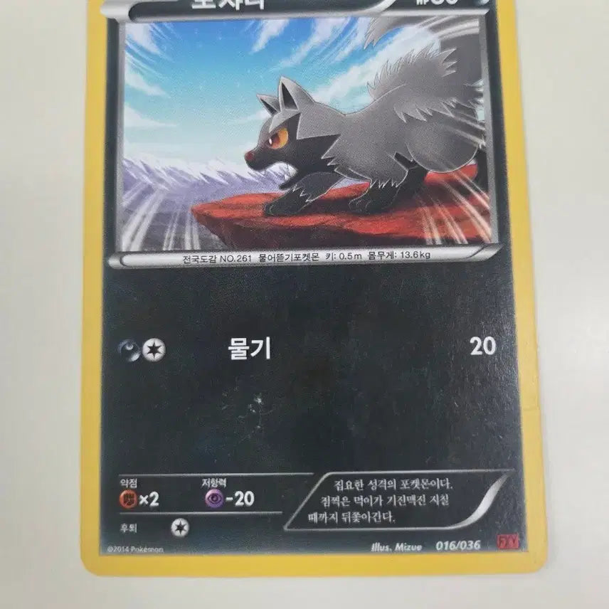 [BUNJANG] Pokemon Card Pocheena 2014 / 포켓몬 카드 포챠나 2014년