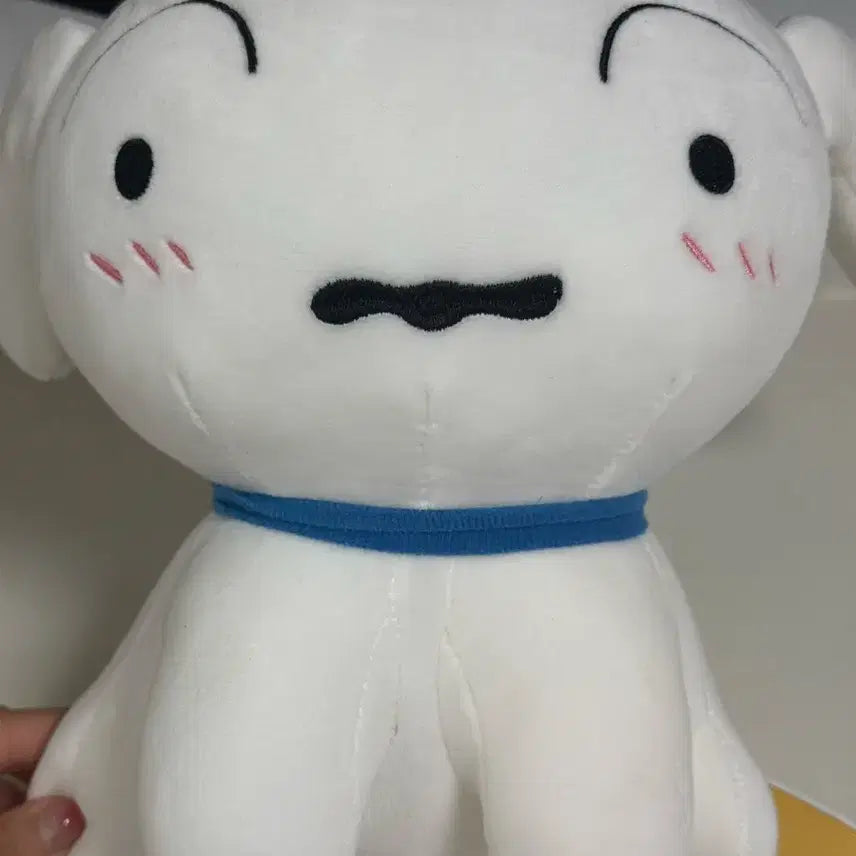 [BUNJANG] Crayon Shin-chan Shiroi Inu Plush / 짱구 흰둥이 인형