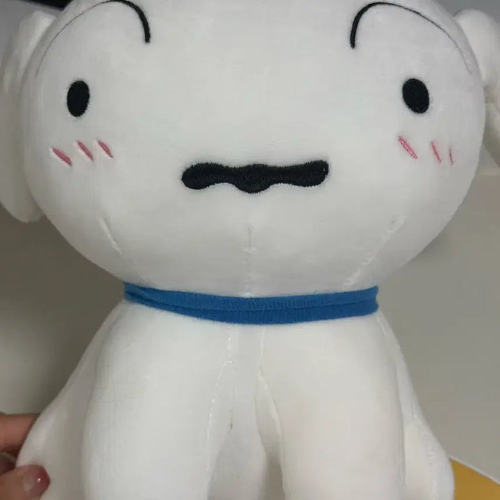 [BUNJANG] Crayon Shin-chan Shiroi Inu Plush / 짱구 흰둥이 인형