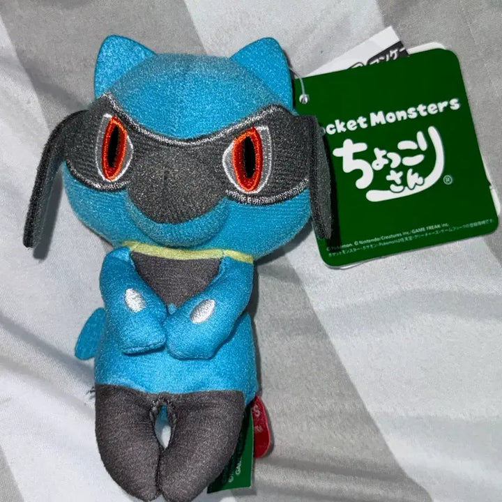 [BUNJANG] Pokemon Riolu Chokkorisan Plush / 포켓몬스터 리오르 춋코리상