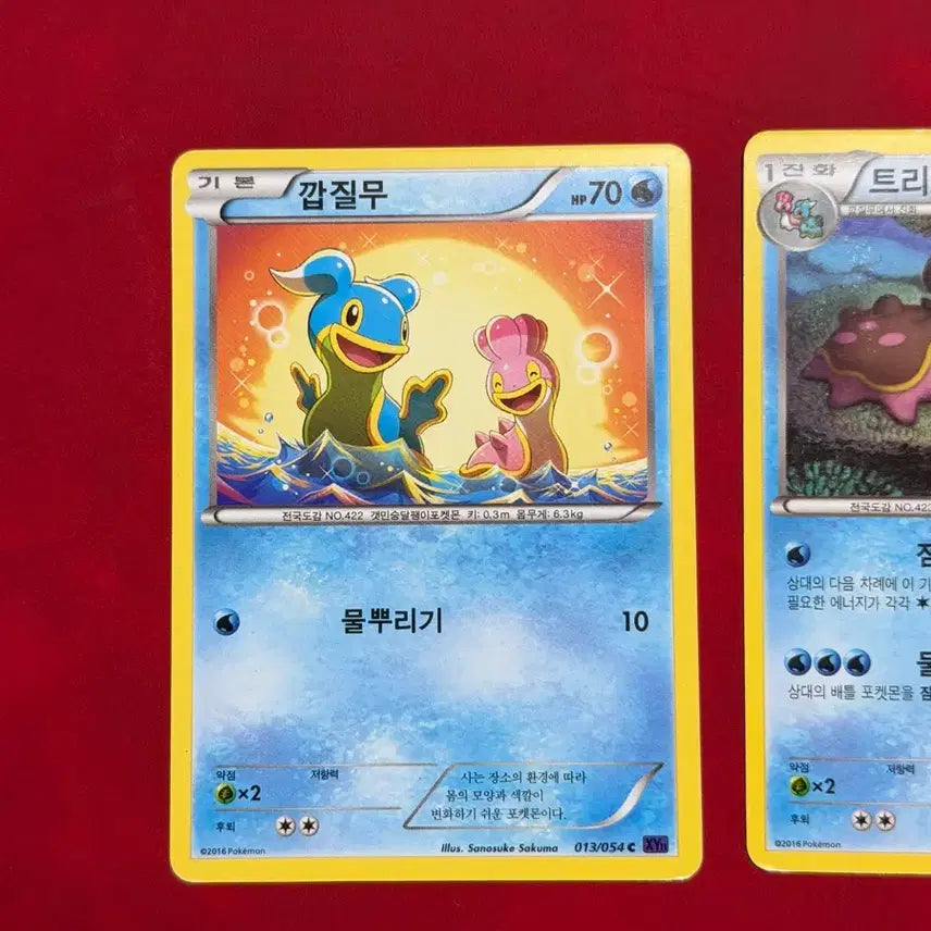 [BUNJANG] Pokemon Ancient Cards Grotle, Tritodon XY Set / 포켓몬 고대 카드 깝질무, 트리토돈 xy 세트